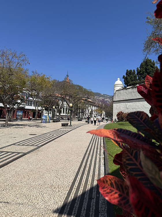 Avenida-Arriaga