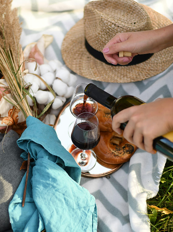 experiencia-prova-vinhos-carla-camara-dina-makhmutova