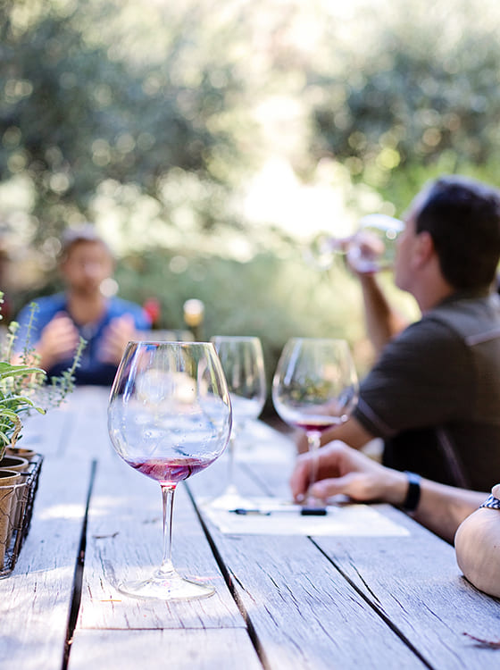 experiencia-prova-vinhos-carla-camara-jillwellington