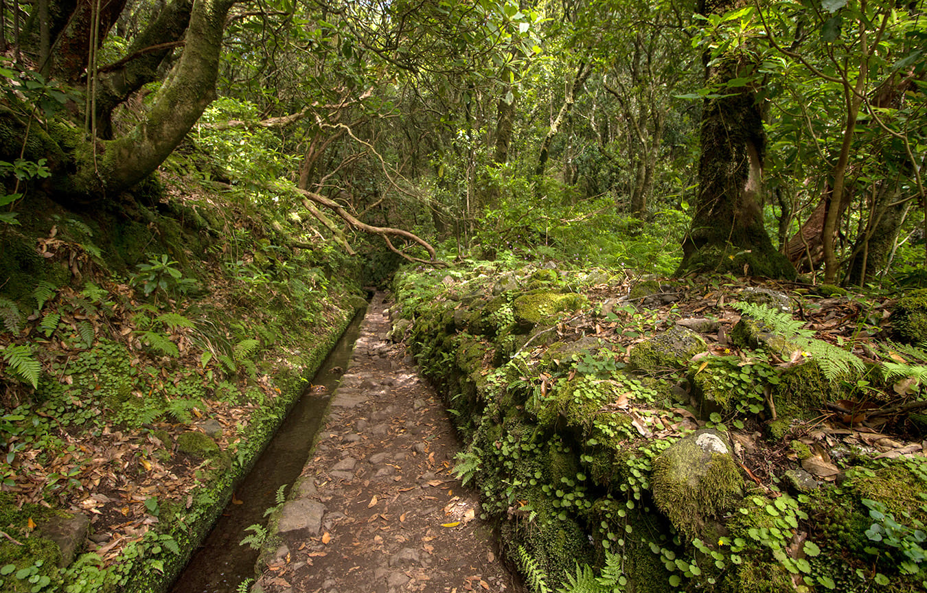 levada-do-caldeirao-verde-Ilha-trilhos-veredas-da-madeira-porutgal