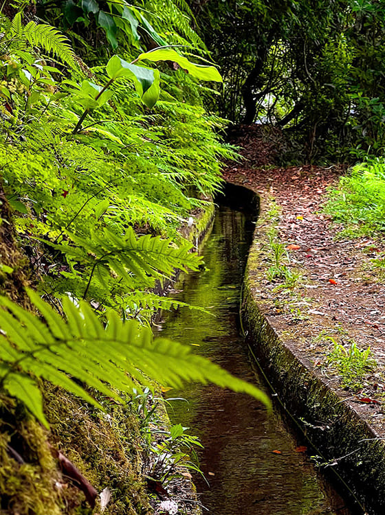 levada-vereda-silveira