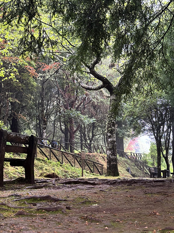 parque-merendas-queimadas-santana